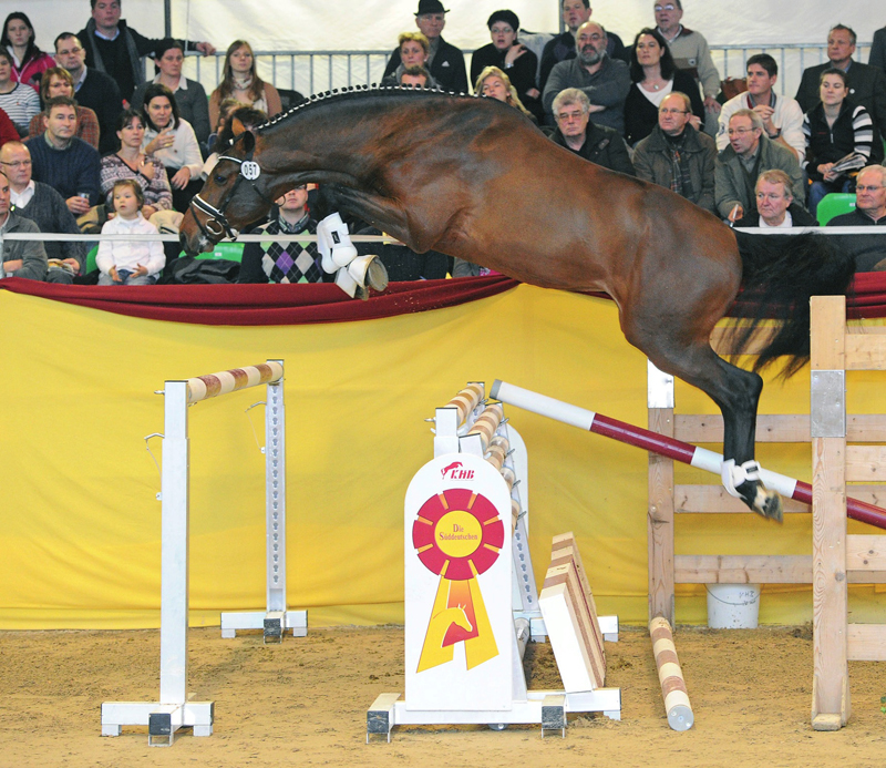 Chambretto Gt Sprunggasse